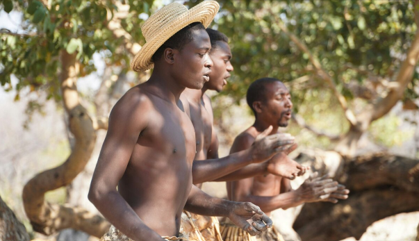 screenshot 2026 02 02 102339