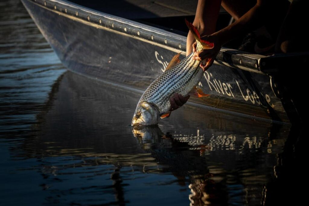 whatsapp image 2026 02 03 at 11.59.27 am