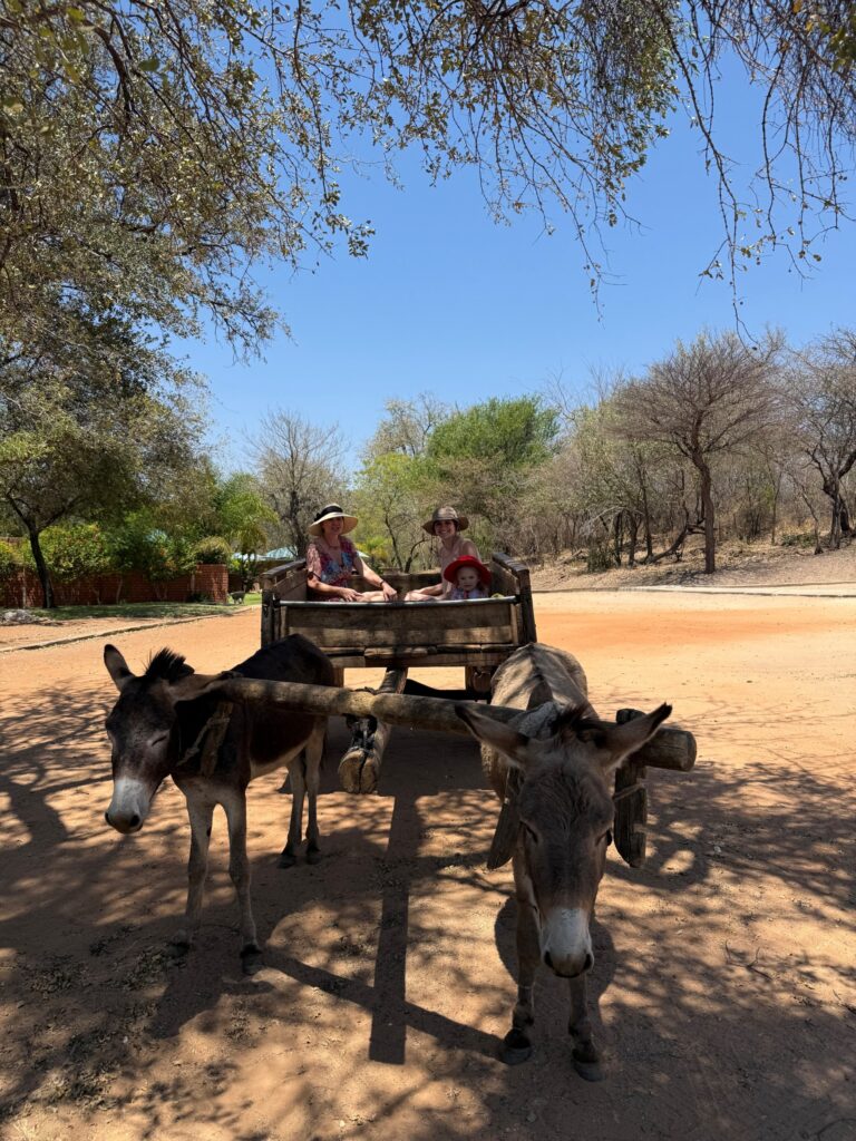 f4ca9e11 f48a 4d1c adc5 799524ce9978